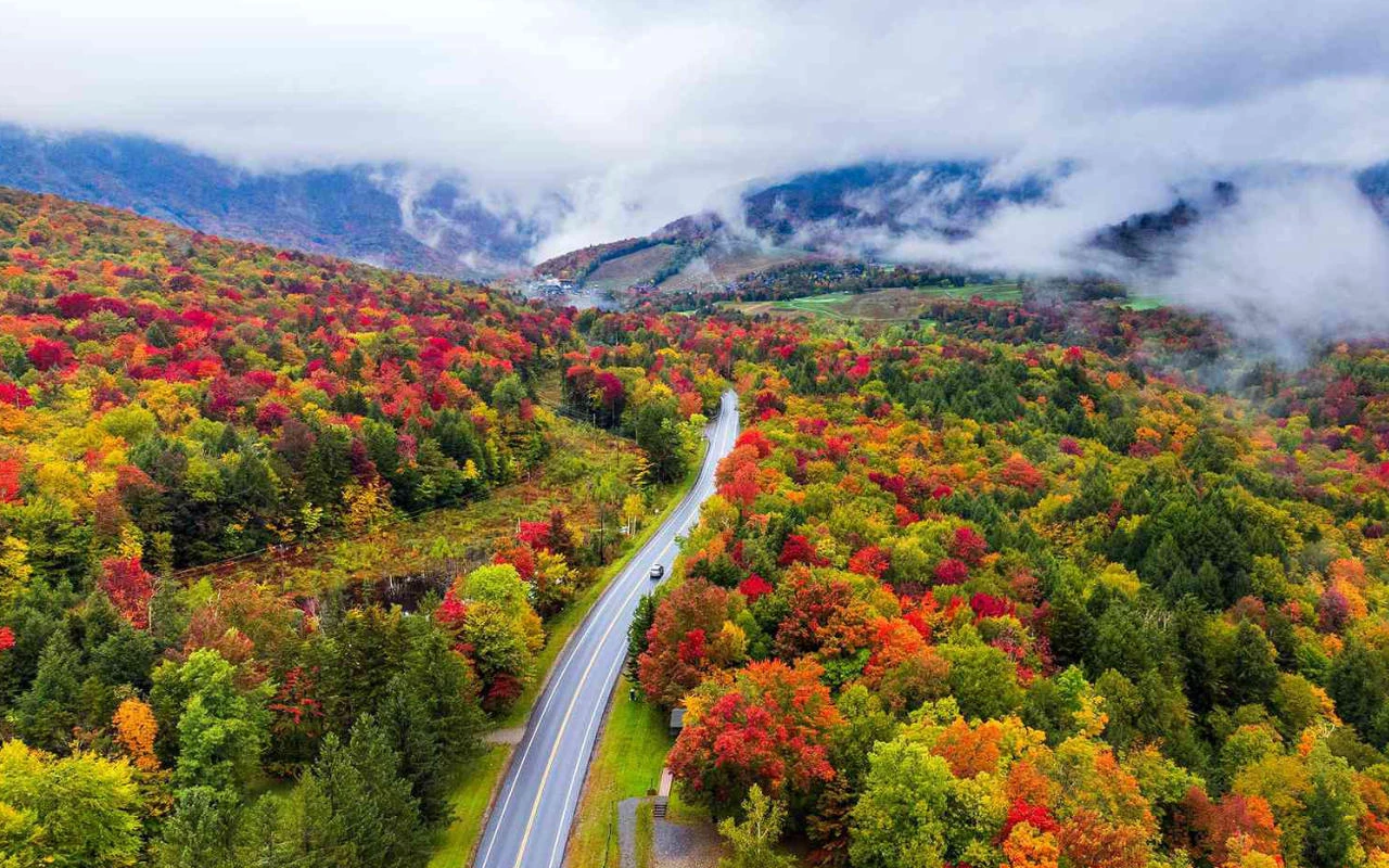 vue d'une route qui traverse une forêt automnale au Vermont